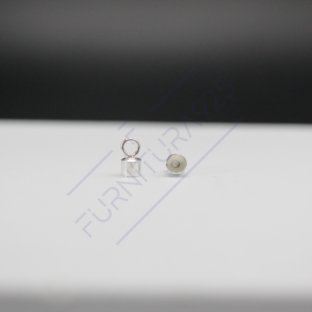 Кінцевик FS2-20A